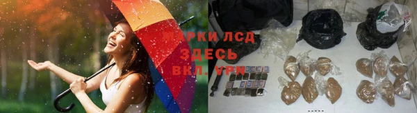тгк Михайловск