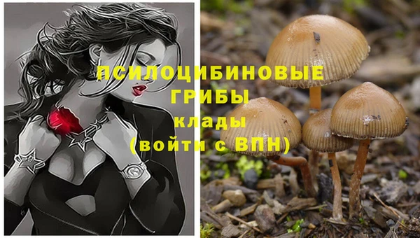 тгк Михайловск