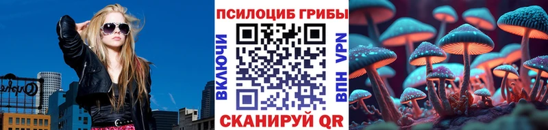 Галлюциногенные грибы Psilocybine cubensis  Приволжск 